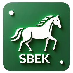 sapbekaert.us